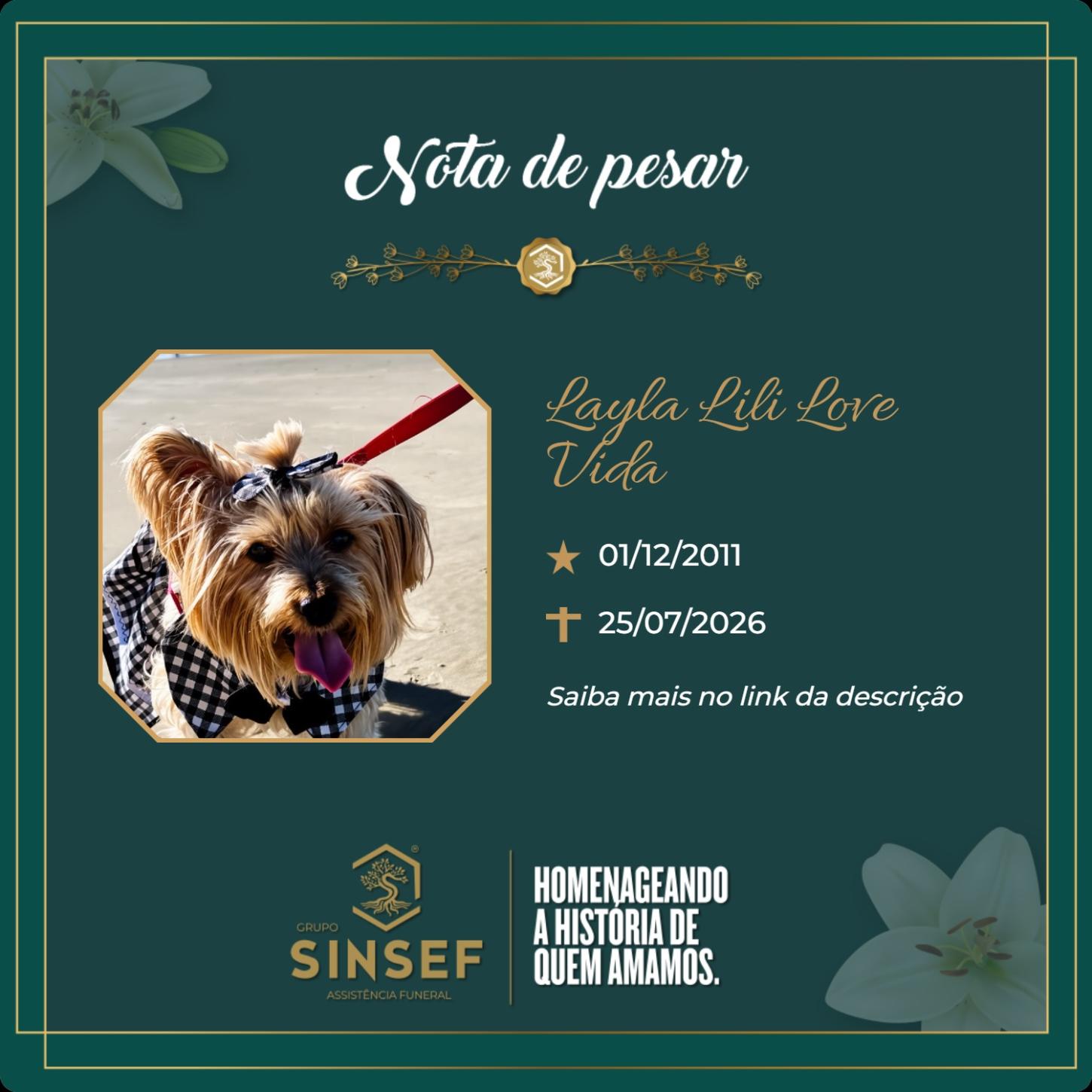 O Grupo Sinsef se despede de Layla Lili Love Vida