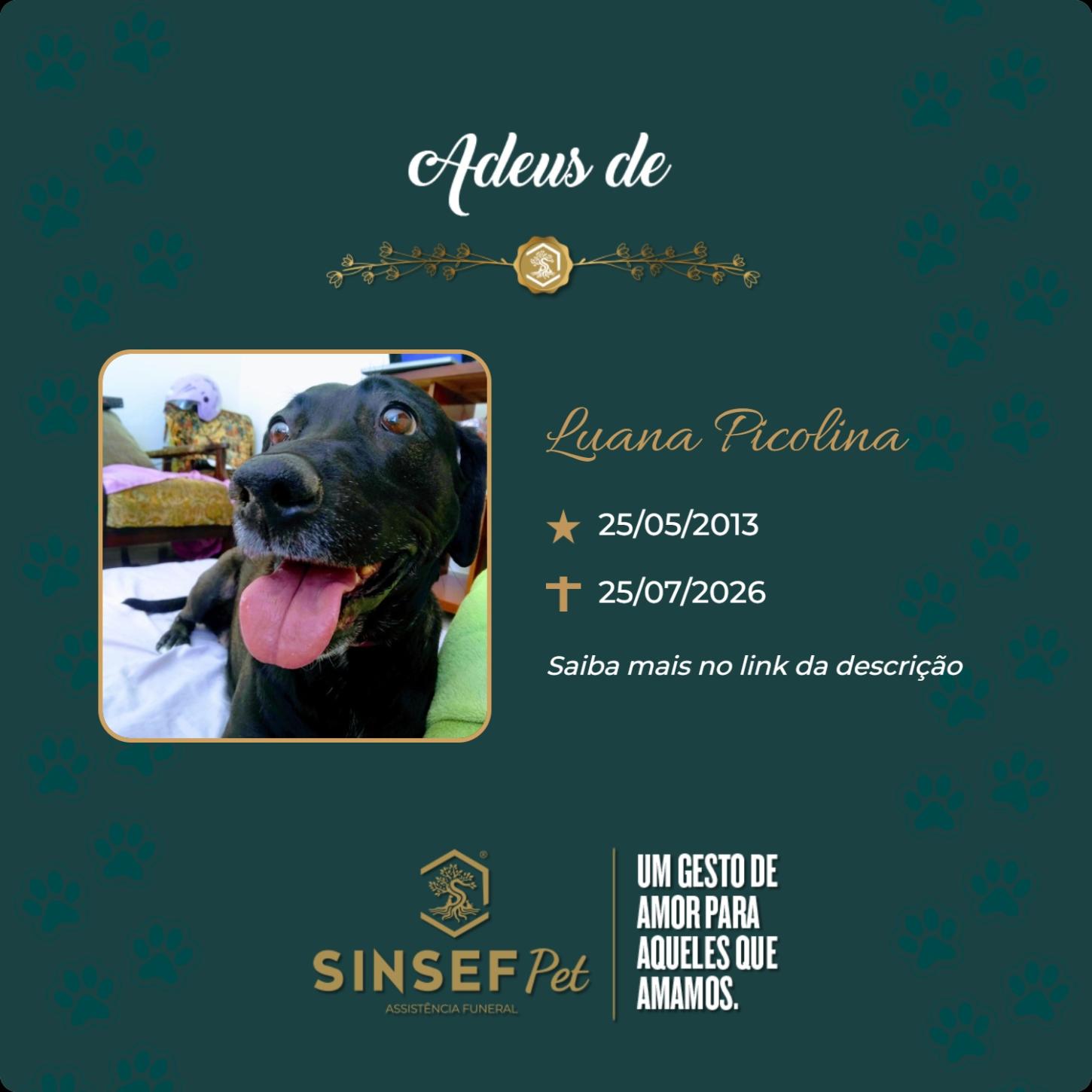 O Grupo Sinsef se despede de Luana Picolina