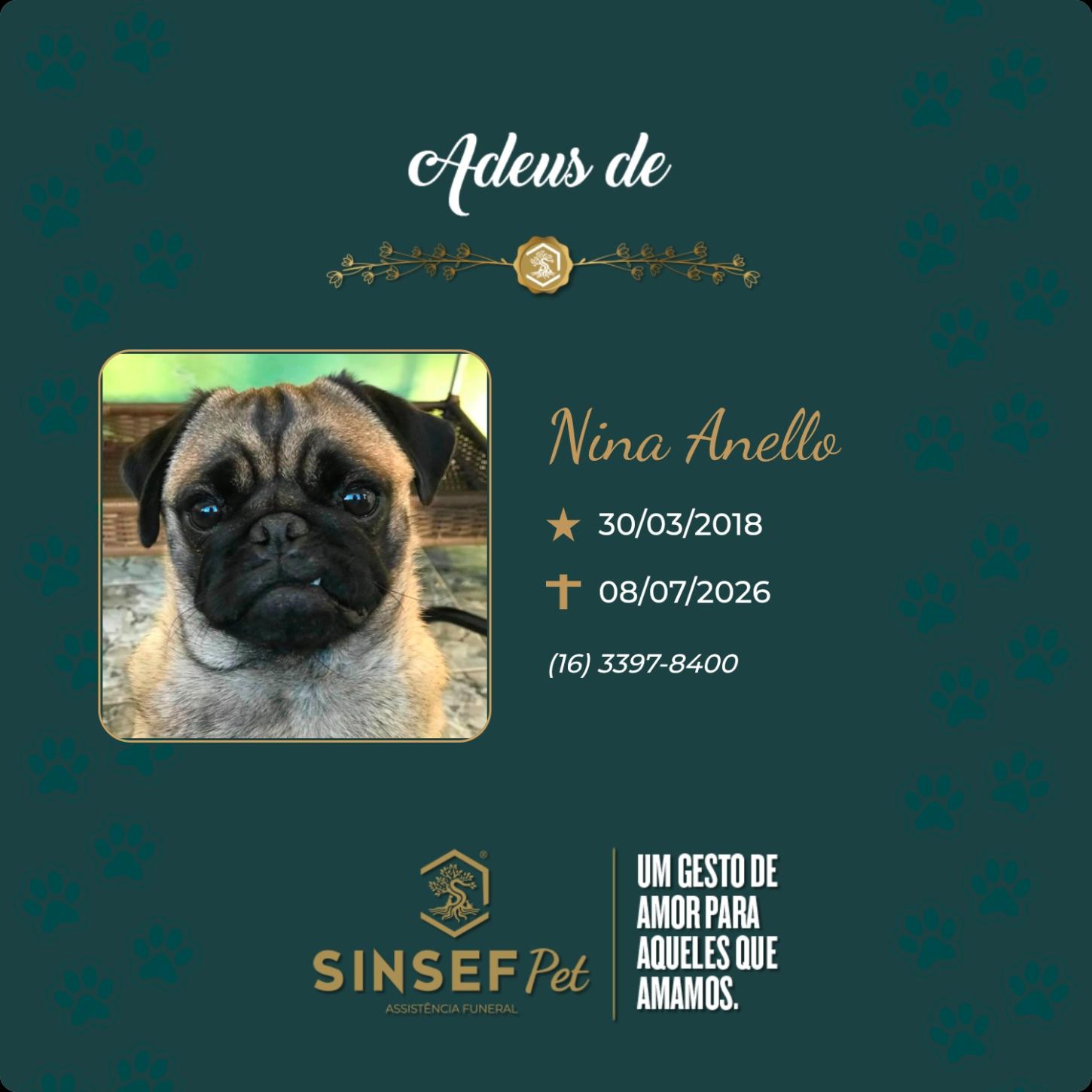 O Grupo Sinsef se despede de Nina Anello