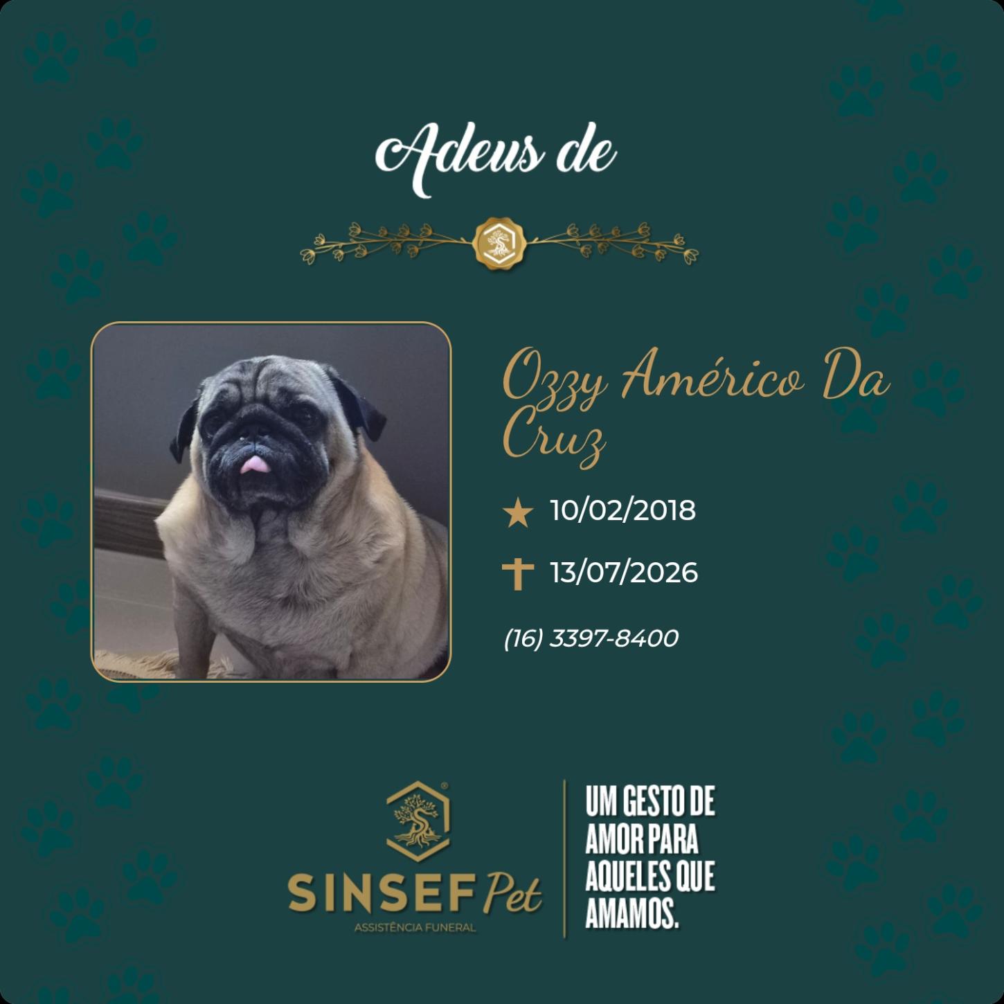 O Grupo Sinsef se despede de Ozzy Américo da Cruz 