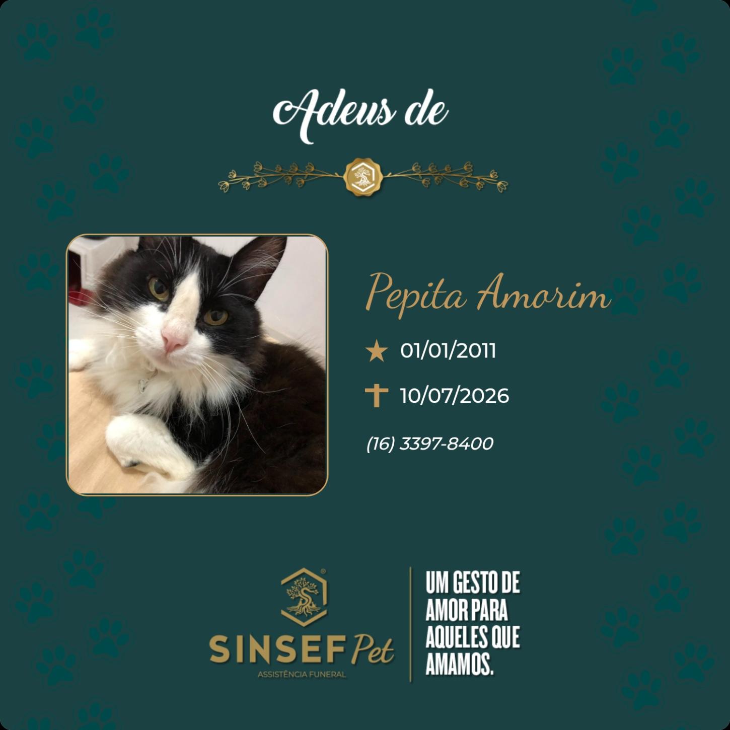 O Grupo Sinsef se despede de Pepita Amorim 