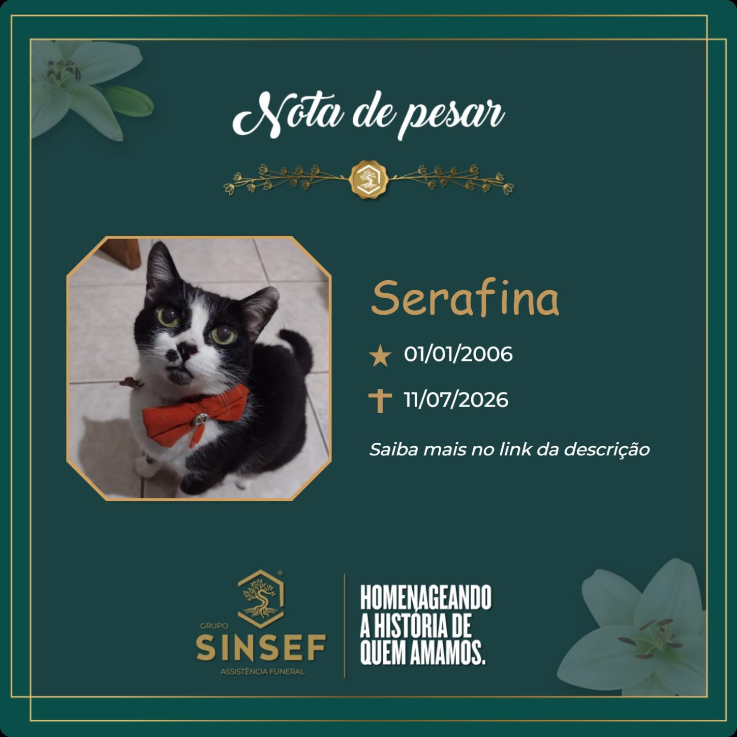 O Grupo Sinsef se despede de Serafina