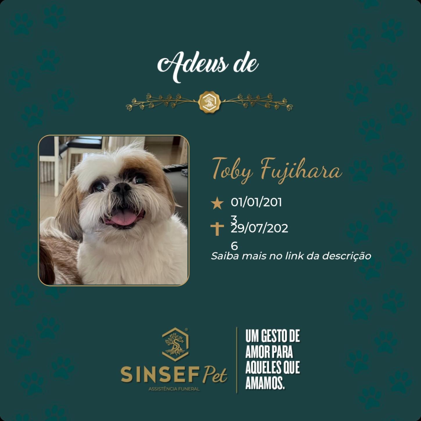 O Grupo Sinsef se despede de Toby Fujihara 