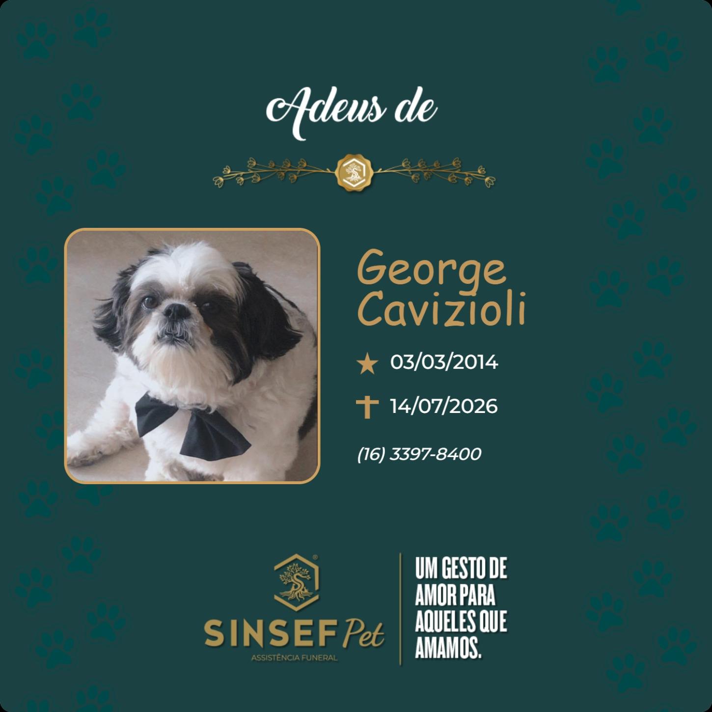 O Grupo Sinsef se despede do George Cavizioli