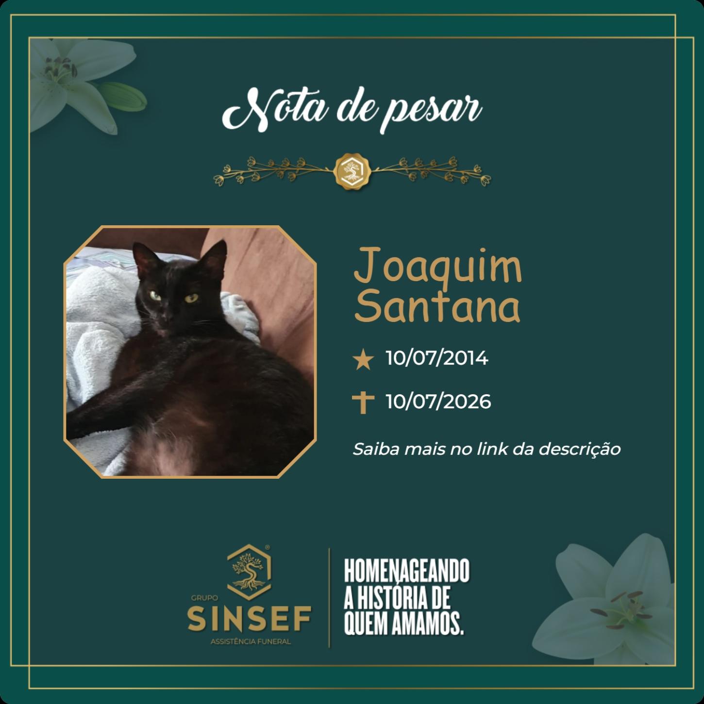 O Grupo Sinsef se despede do Joaquim