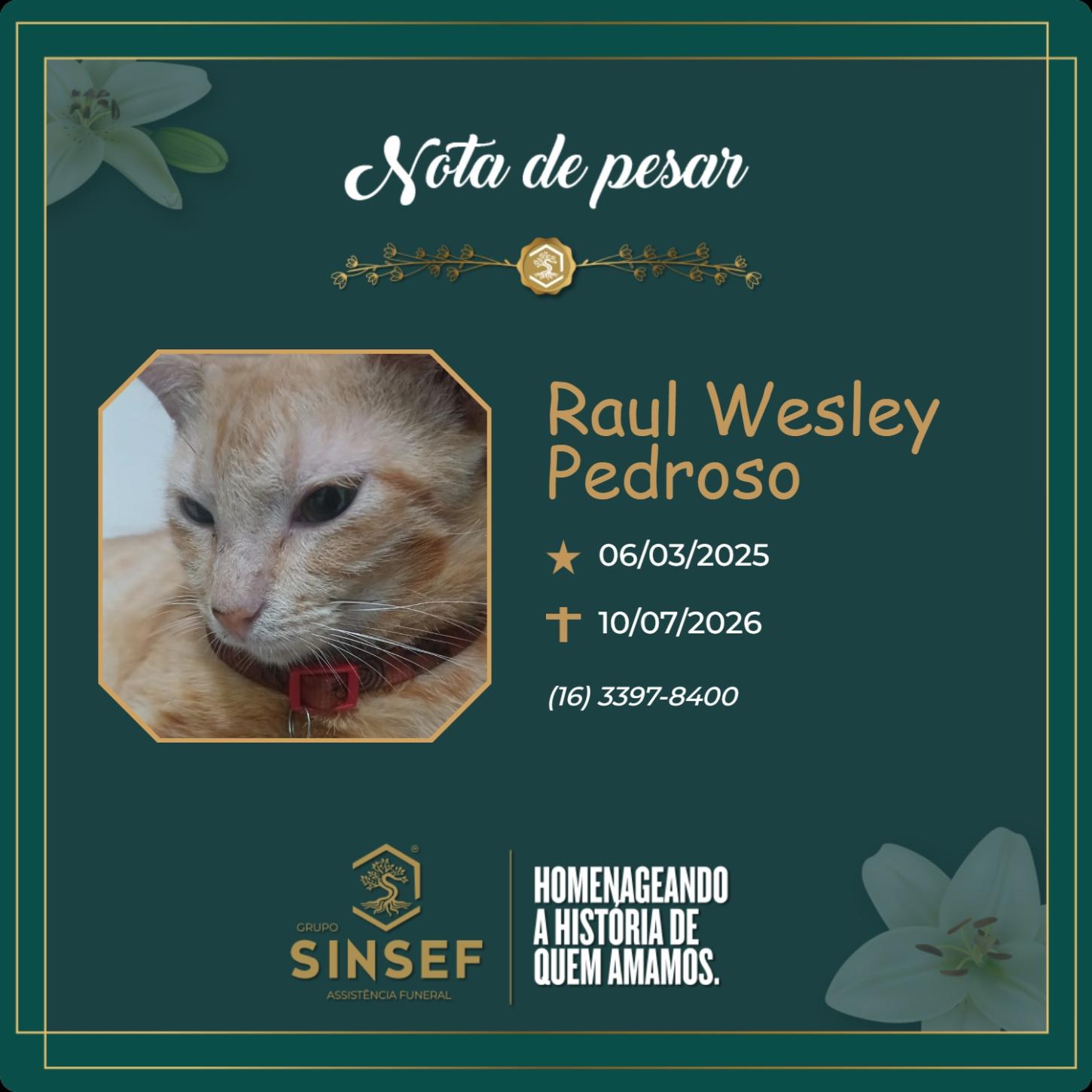 O Grupo Sinsef se despede do Raul Wesley