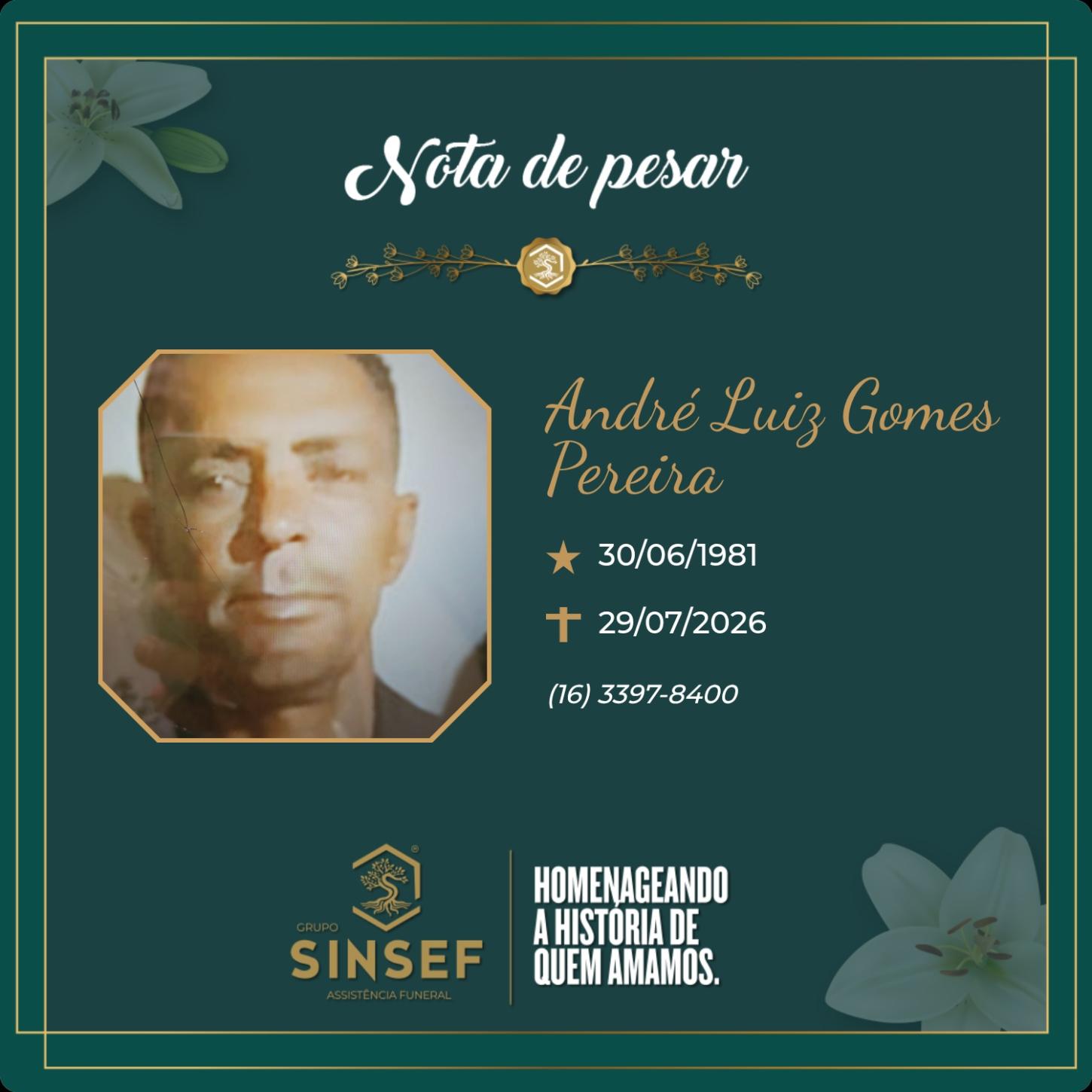 O Grupo Sinsef se despede do Sr. André Luiz Gomes Pereira 