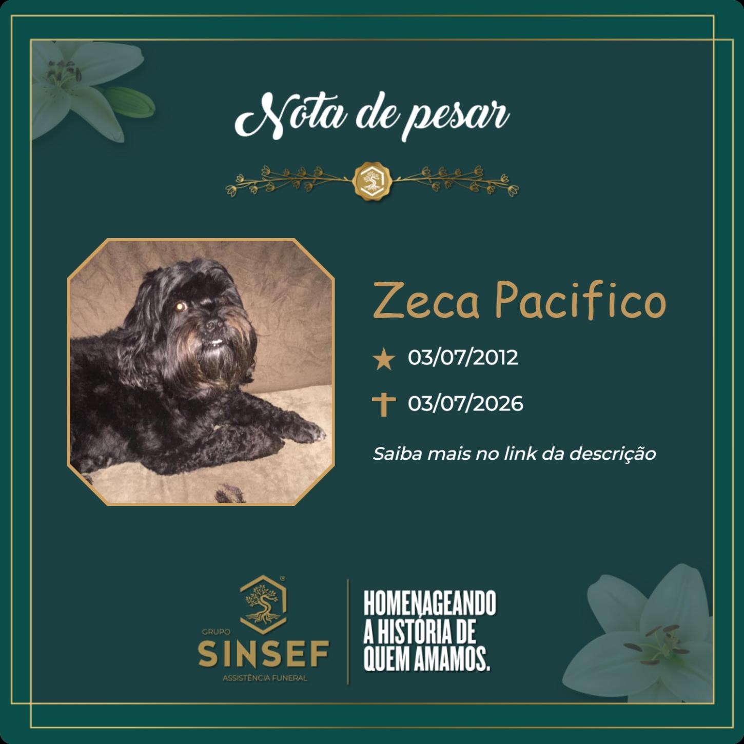 O Grupo Sinsef se despede do Zeca