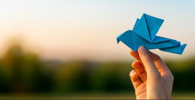 Oficina gratuita de origami convida público a aprender dobraduras em Araraquara