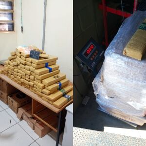 Polícia apreende 100 quilos de maconha e prende suspeito por tráfico em Porto Ferreira