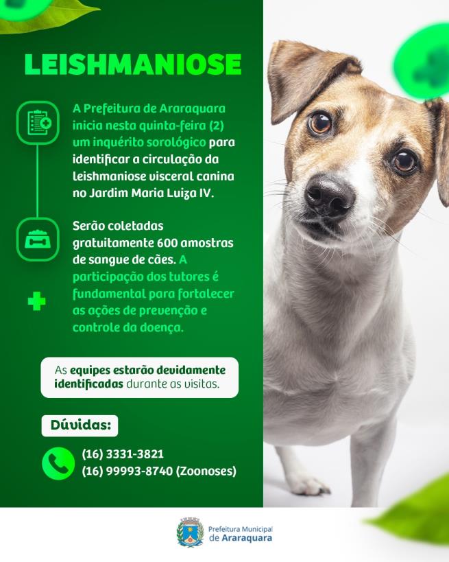 Araraquara inicia inquérito sorológico para leishmaniose visceral canina no Jardim Maria Luiza IV