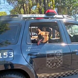 Guarda Municipal captura procurado por tráfico de drogas em São Carlos