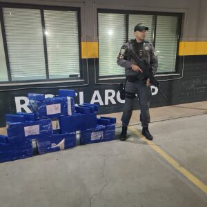 Casal é preso por tráfico de drogas após fugir da polícia na SP-310 em Itirapina
