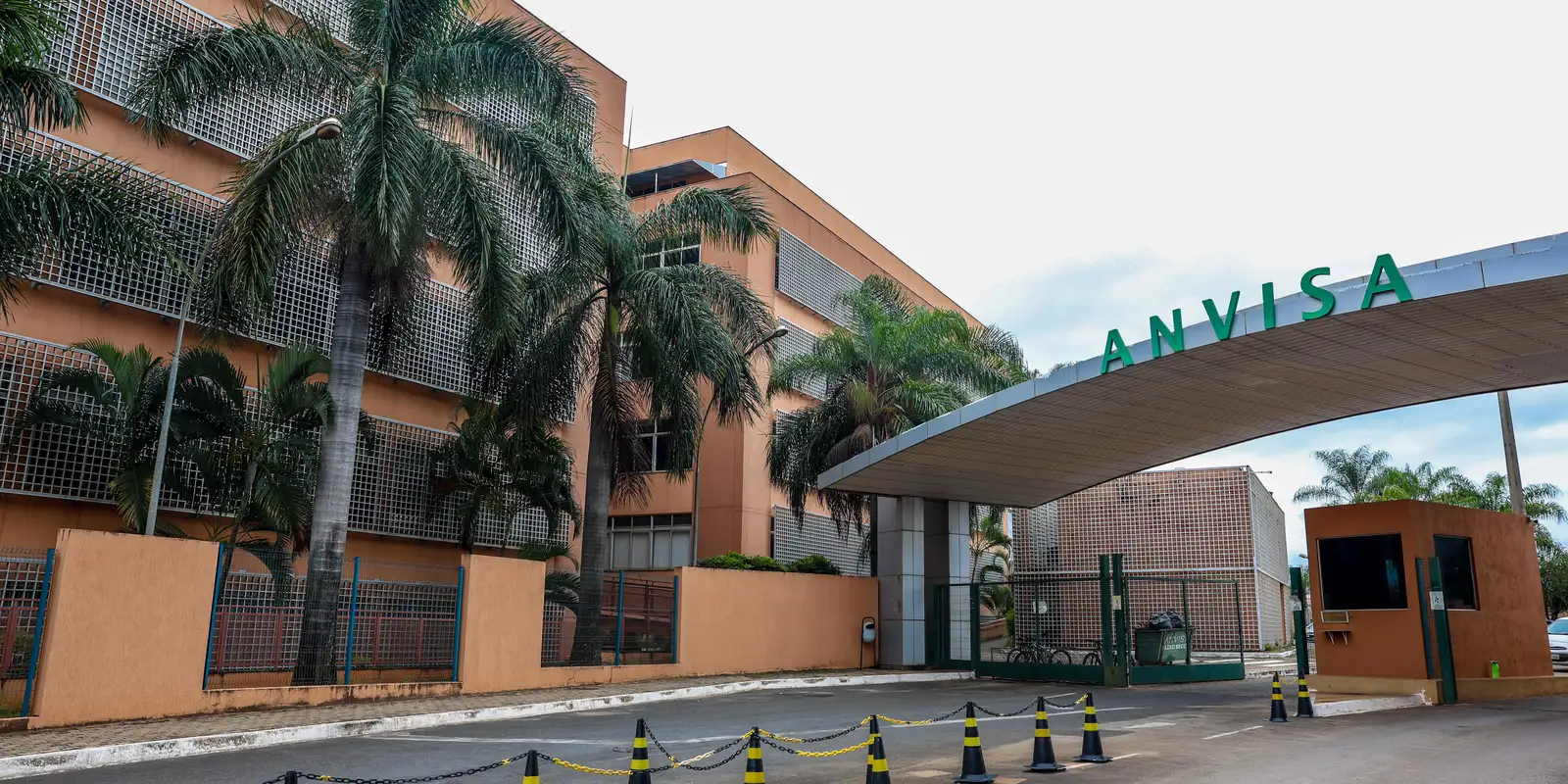 Anvisa aprova novas canetas de semaglutida e autoriza primeiro genérico no país