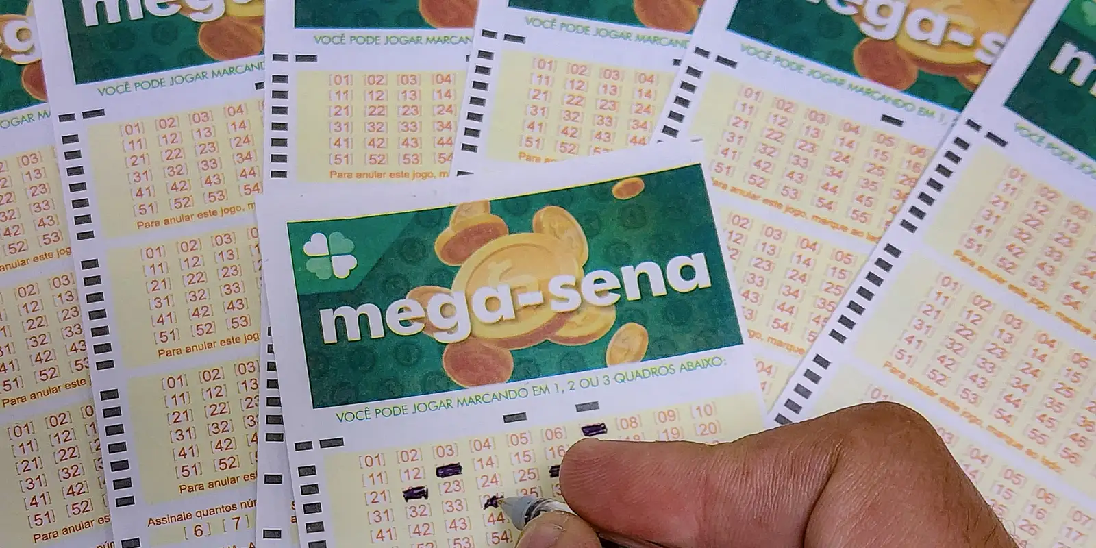 Aposta de Blumenau fatora prêmio acumulado de R$ 57 milhões na Mega-Sena