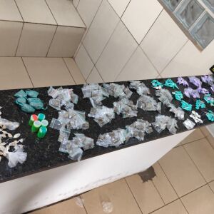 Guarda municipal realiza apreensão de drogas no bairro Santa Angelina