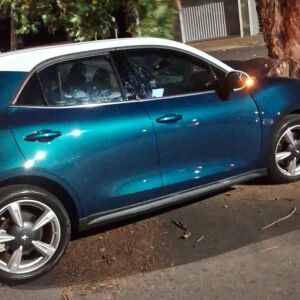 Carro bate contra árvore na madrugada em acidente em São Carlos