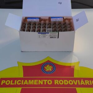 Casal é detido com fentanil pelo TOR na rodovia SP-255 em Rincão