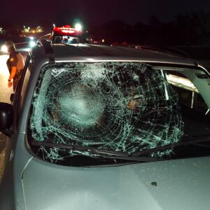 Ciclista sofre ferimentos graves após atropelamento na Rodovia Washington Luís