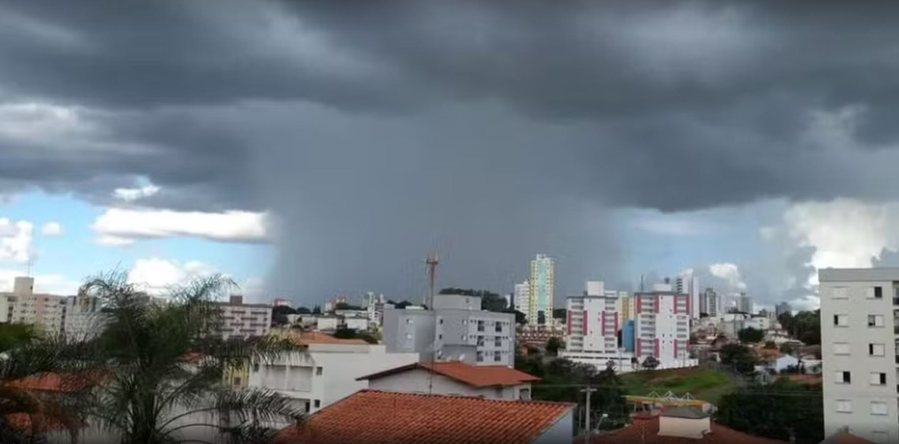 Alerta em São Carlos aponta risco de ventania e queda de árvores