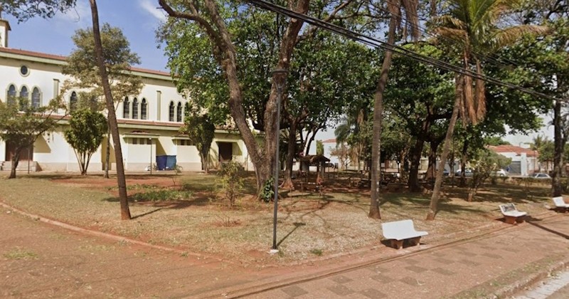 Cães em situação de rua nas praças do Carmo e Santana geram pedido de controle