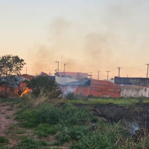 Defesa Civil combate incêndio em Ibaté que atingiu 10 mil metros quadrados
