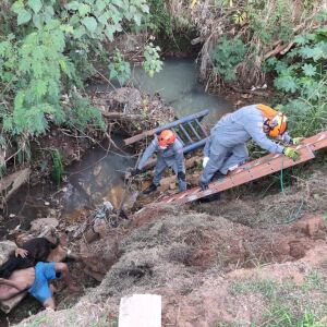 Bombeiros e SAMU realizam resgate em córrego de São Carlos