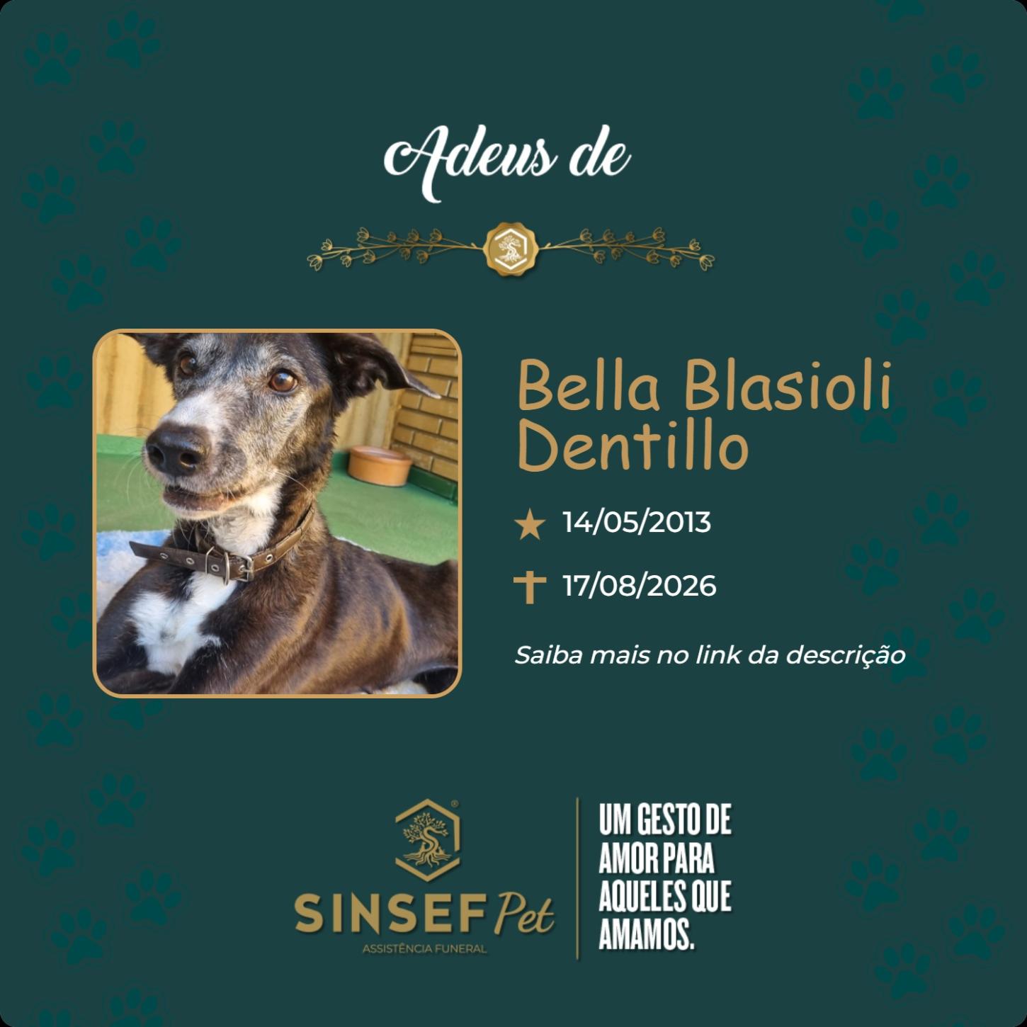O Grupo Sinsef se despede de Bella Blasioli Dentillo
