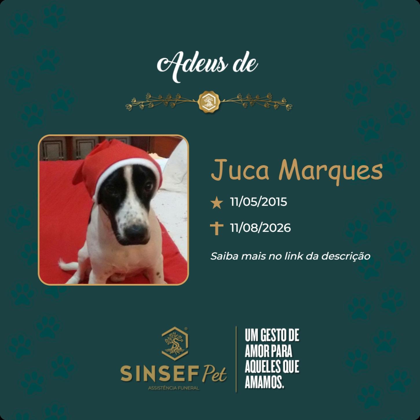 o Grupo Sinsef se despede de Juca Marques