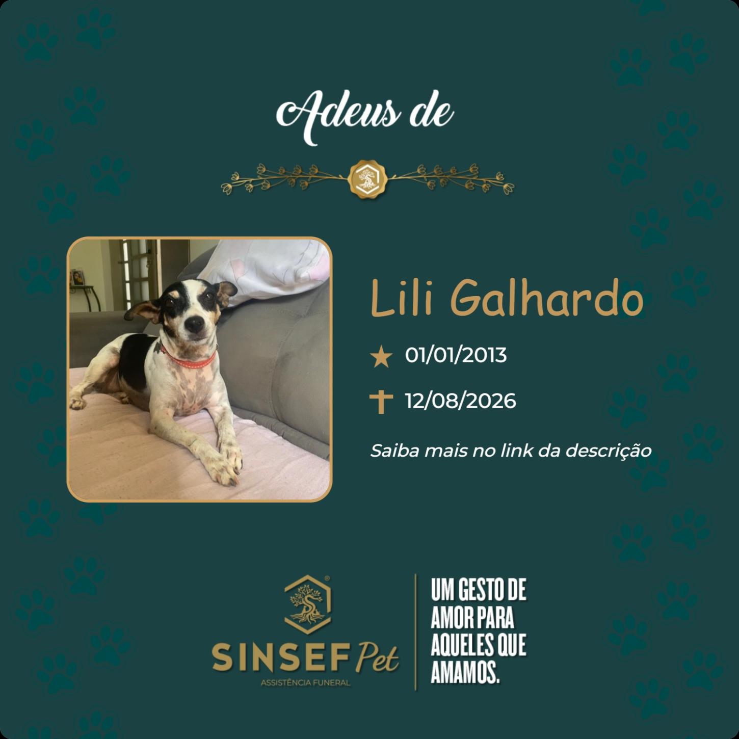 O Grupo Sinsef se despede de Lili Galhardo 