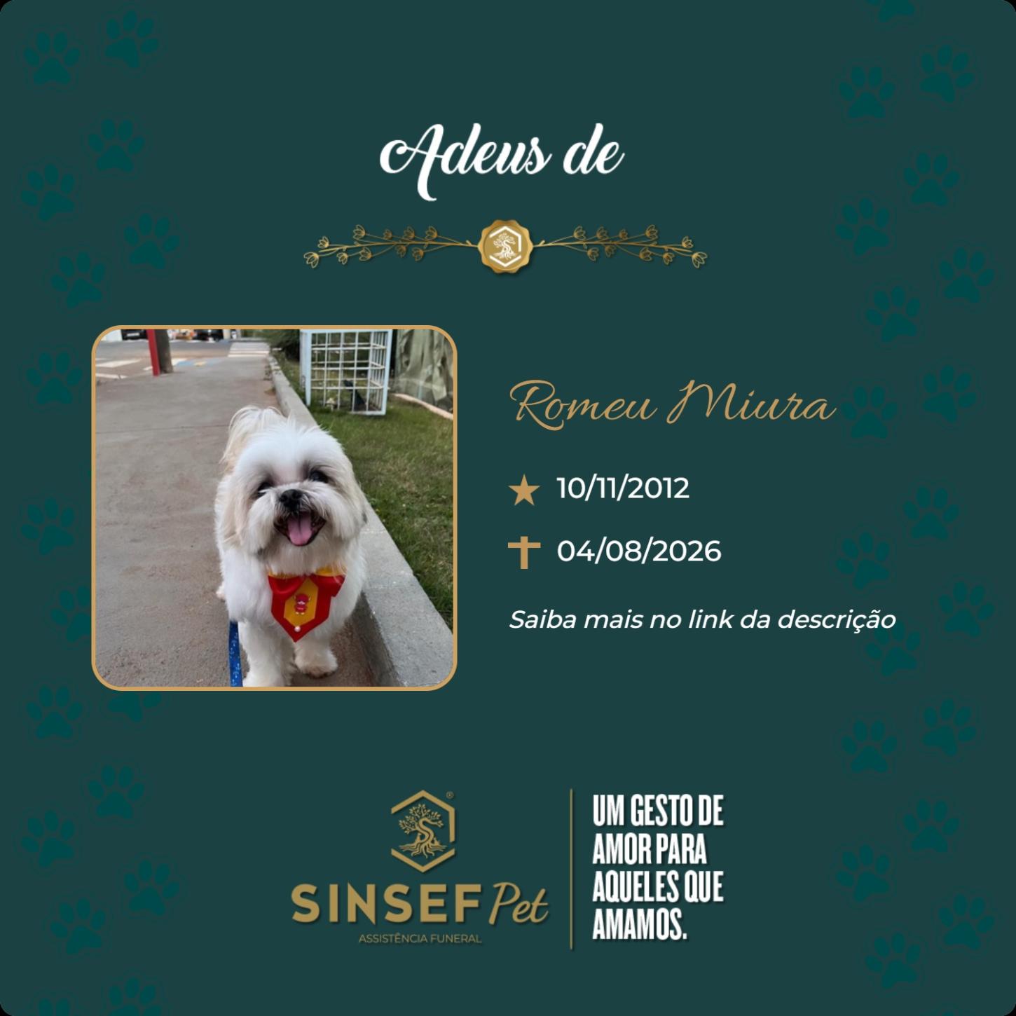 O Grupo Sinsef se despede de Romeu