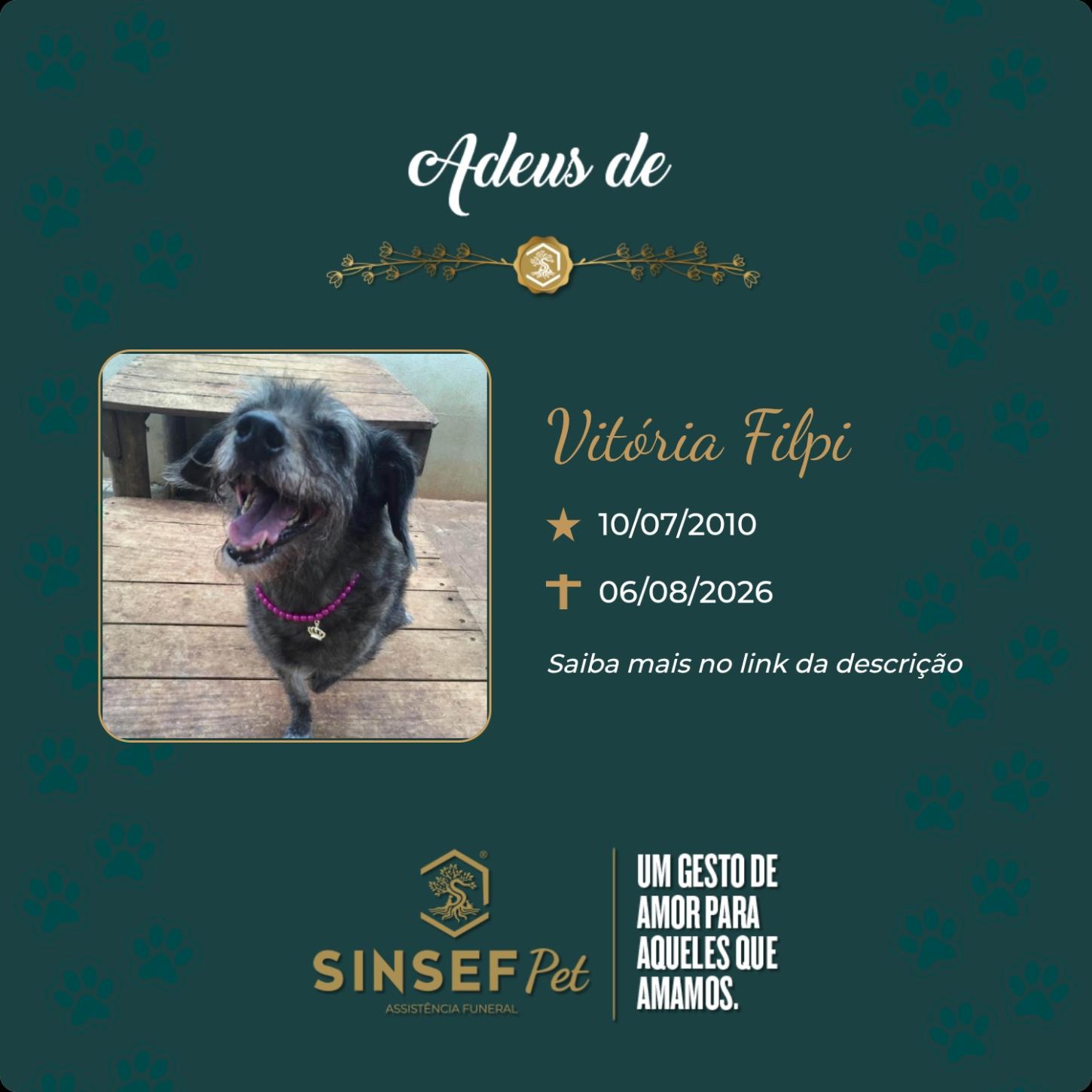 O Grupo Sinsef se despede de Vitória Filpi 
