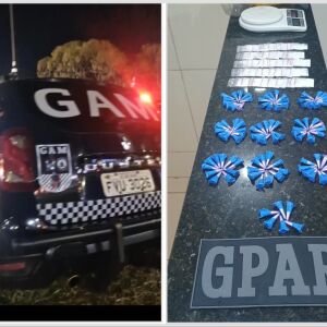 Guarda Municipal apreende drogas enterradas em mata em Santa Eudóxia