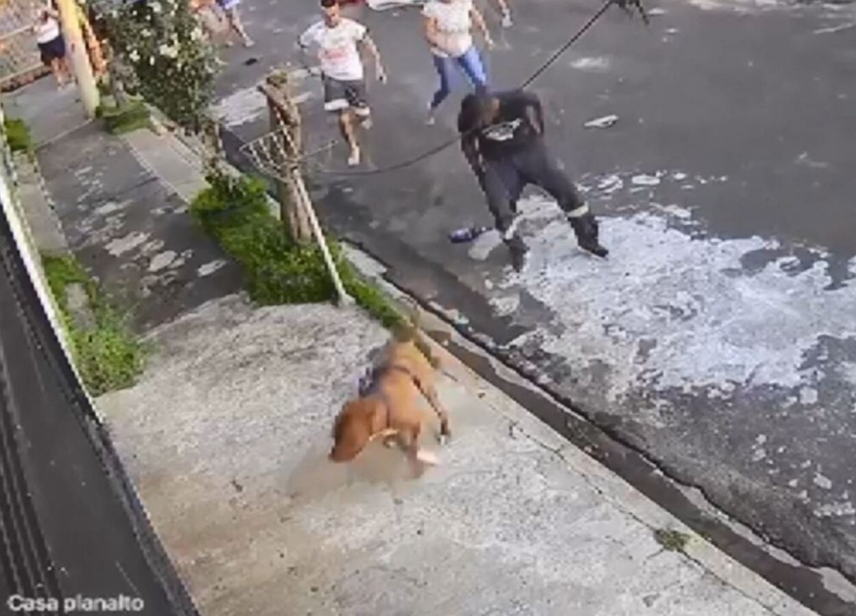 Pai relata socorro a menino vítima de ataque de pitbull em São Carlos