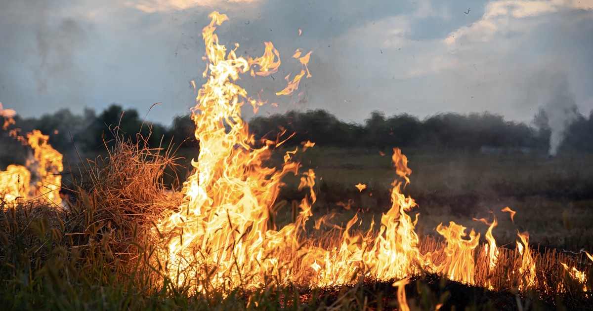 Câmara cobra informações sobre prevenção a incêndios em Araraquara