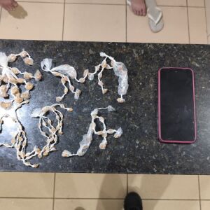 ROCAM em São Carlos prende dupla com drogas após intensa perseguição policial