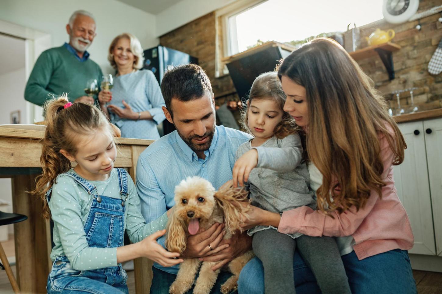 Saúde da família e dos pets: quando procurar avaliação profissional