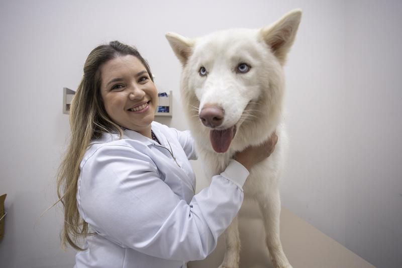 Vai ter um cachorro pela primeira vez? Veja o que preparar antes de levar o pet para casa