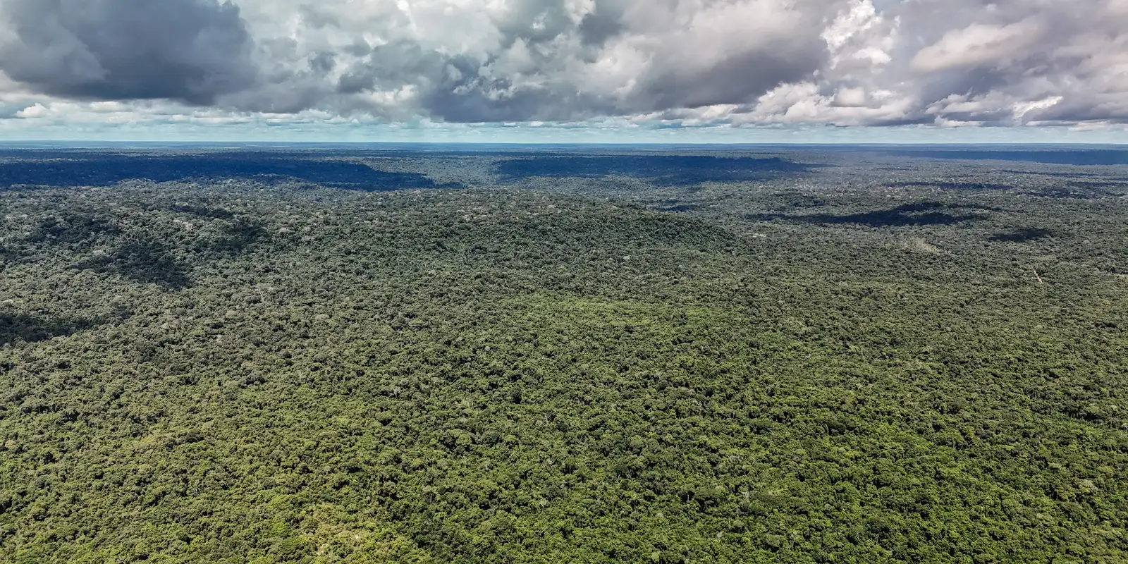 Ministério da Fazenda autoriza US$ 1 bilhão do BID para o Eco Invest Brasil