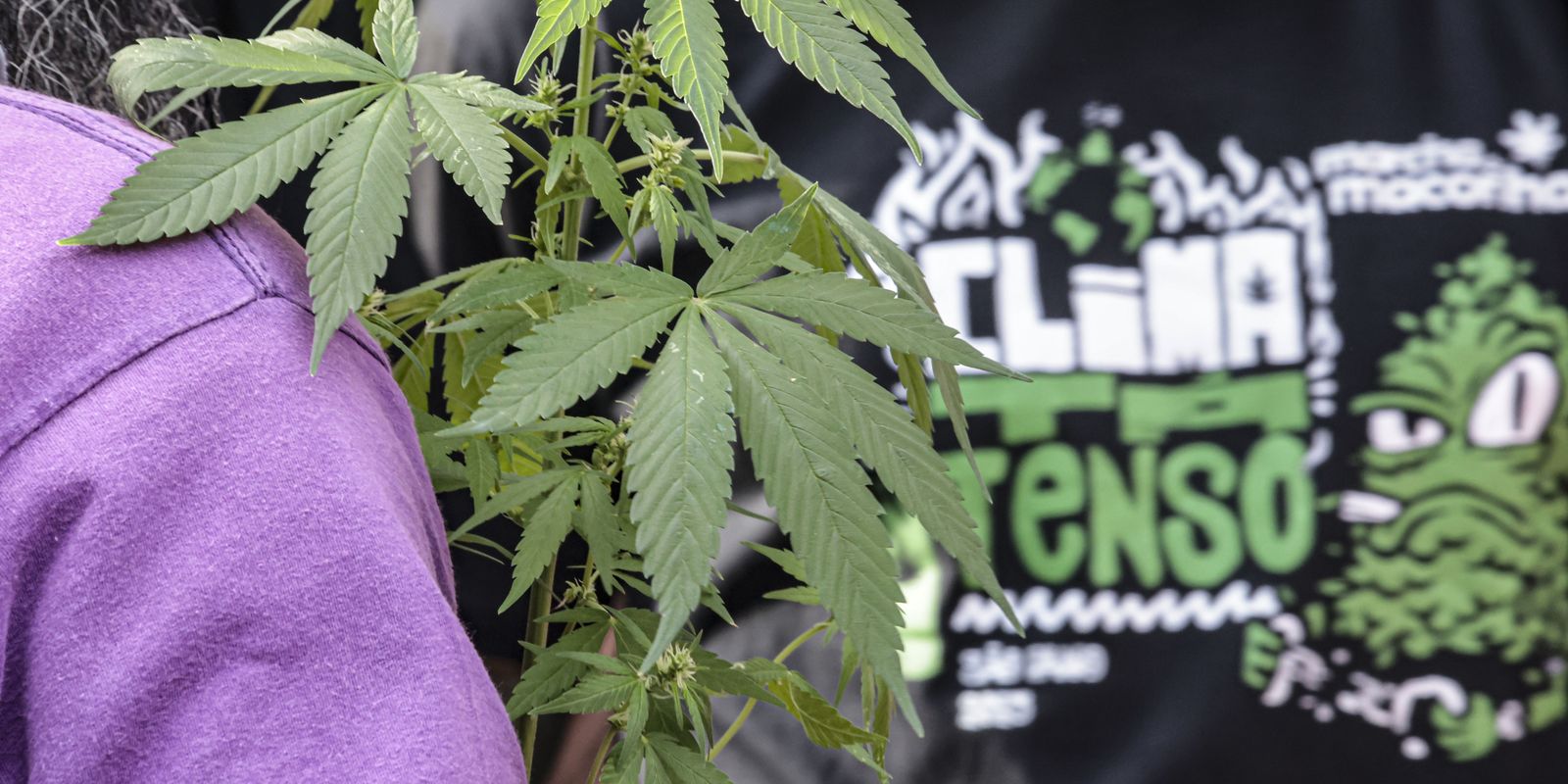 Prisão preventiva por drogas supera média de outros crimes, revela CNJ
