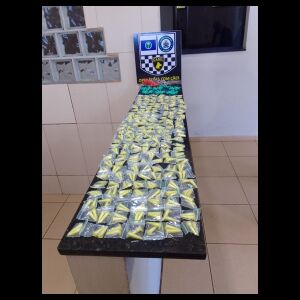 K9 Índia auxilia em apreensão de drogas no Jacobucci