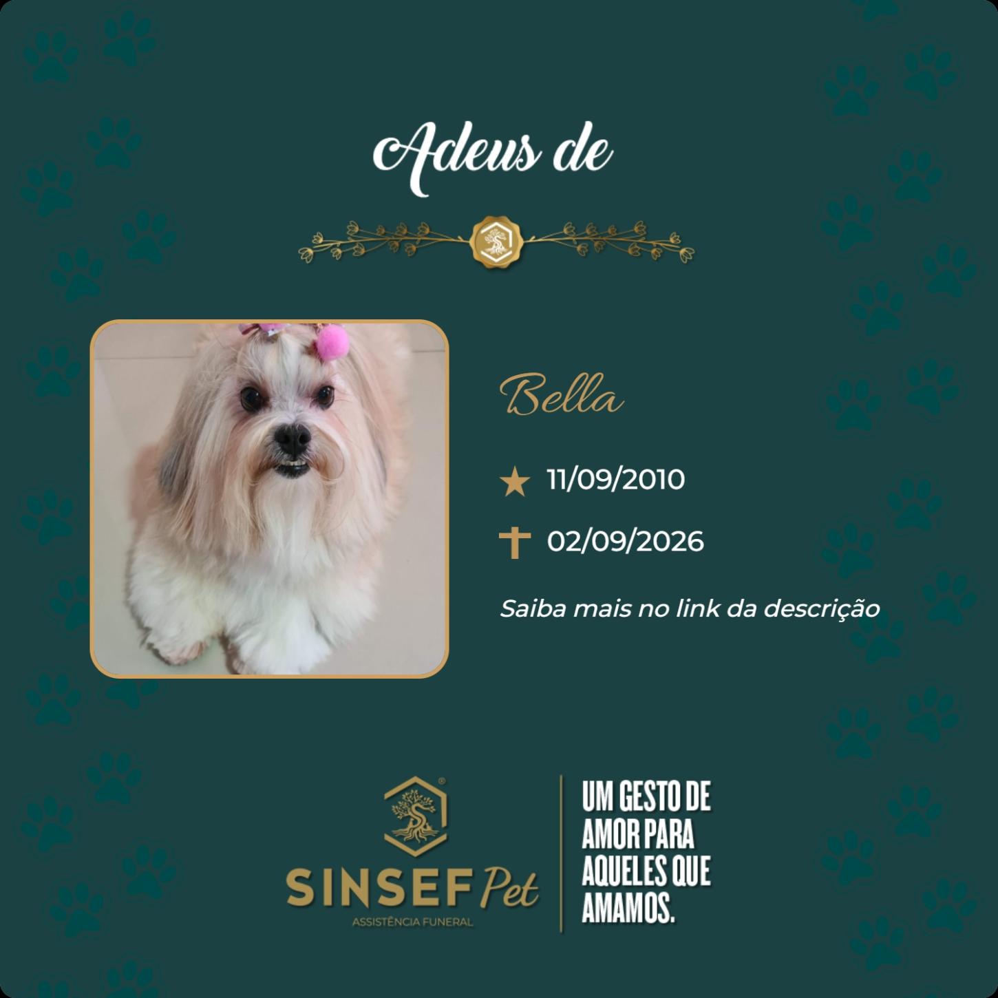 O Grupo Sinsef se despede da Bella
