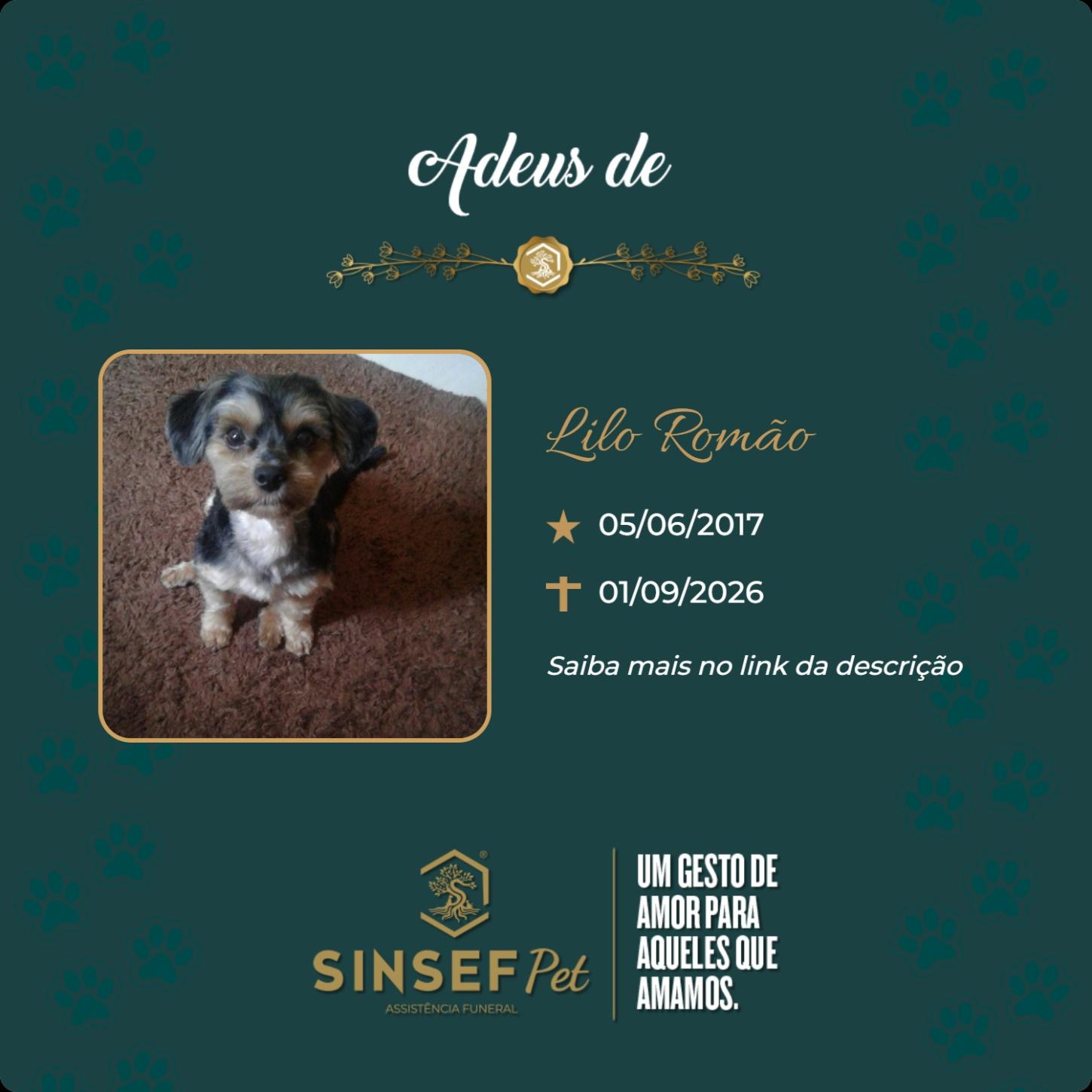 O Grupo Sinsef se despede da Lilo Romão