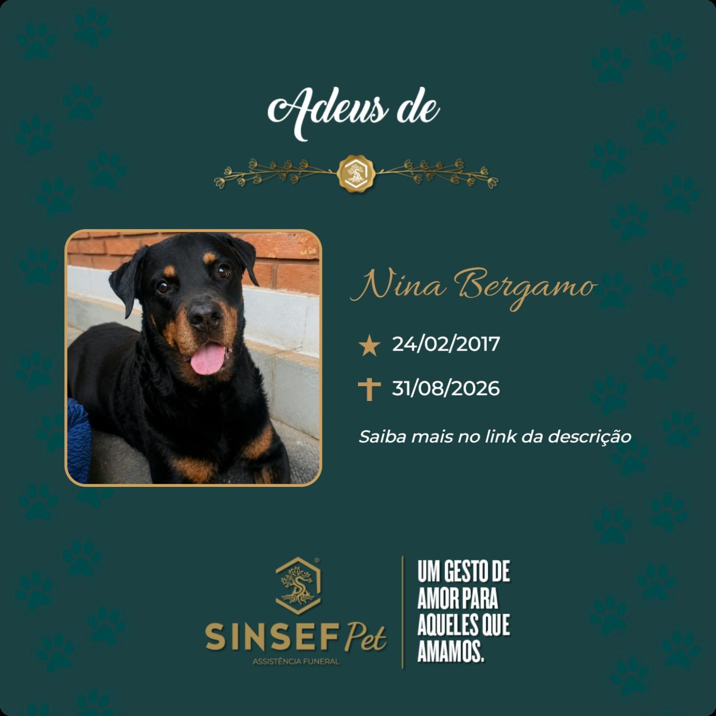 O Grupo sinsef se despede da Nina Bergamo