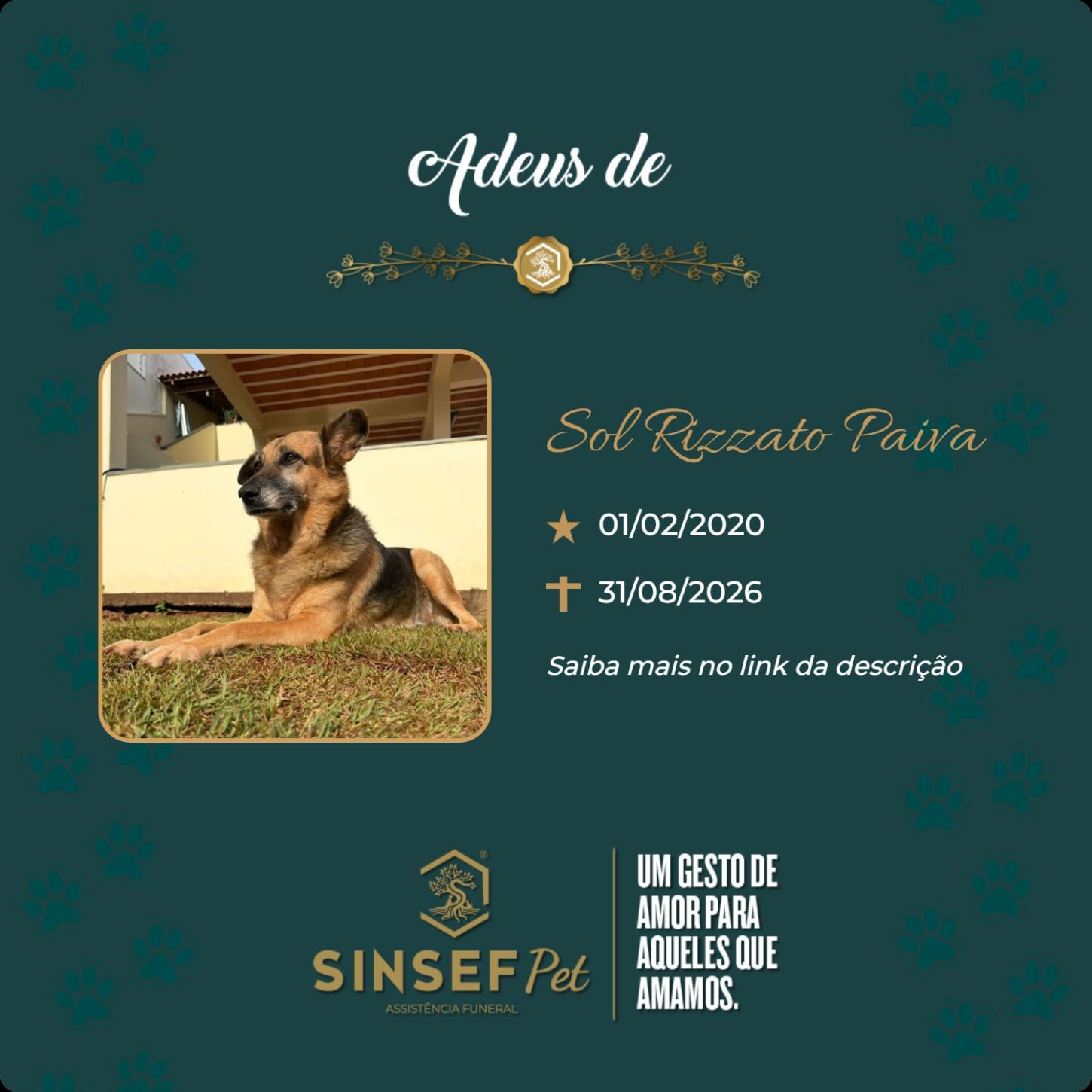 O Grupo Sinsef se despede da Sol