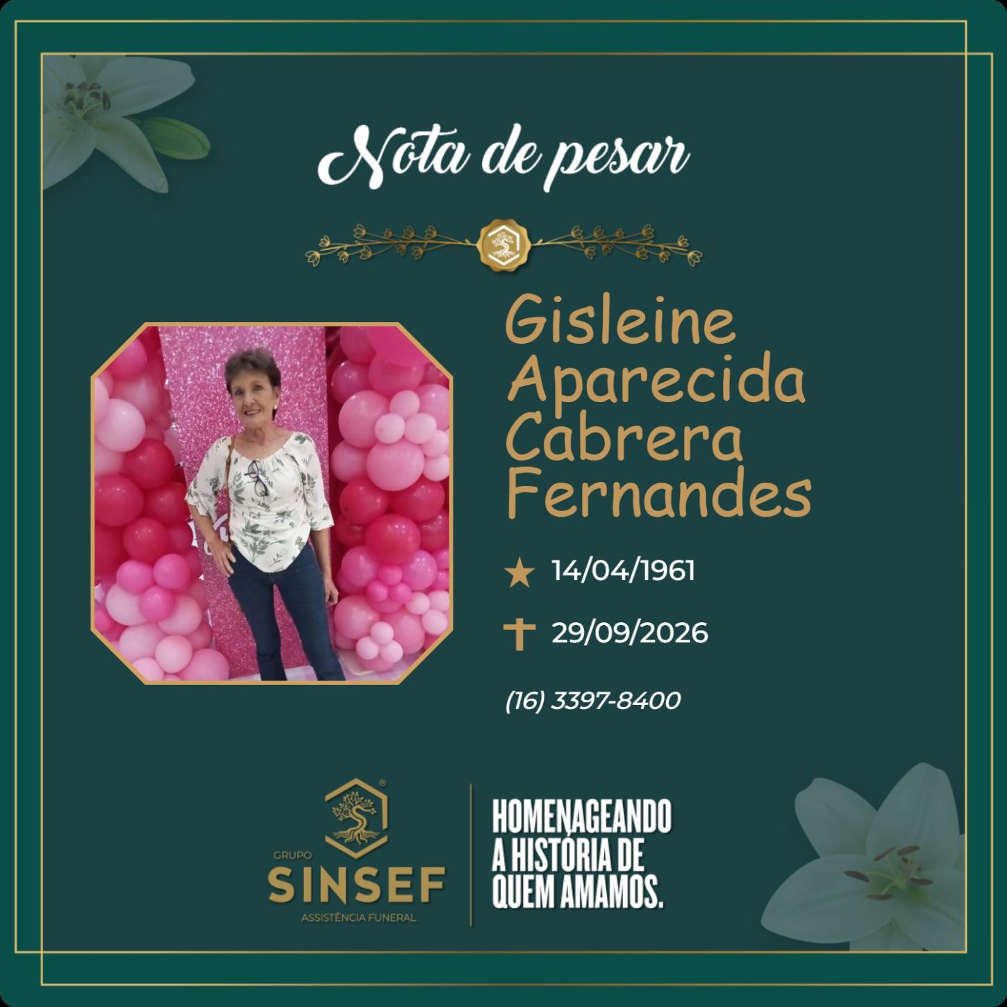 O Grupo Sinsef se despede da Sra. Gisleine Aparecida Cabrera Fernandes