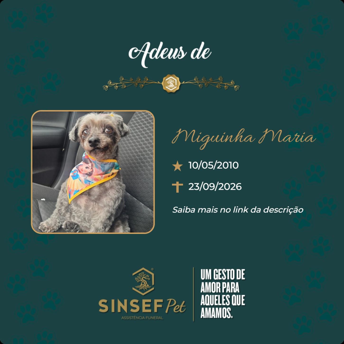 O Grupo Sinsef se despede de Miguinha Maria
