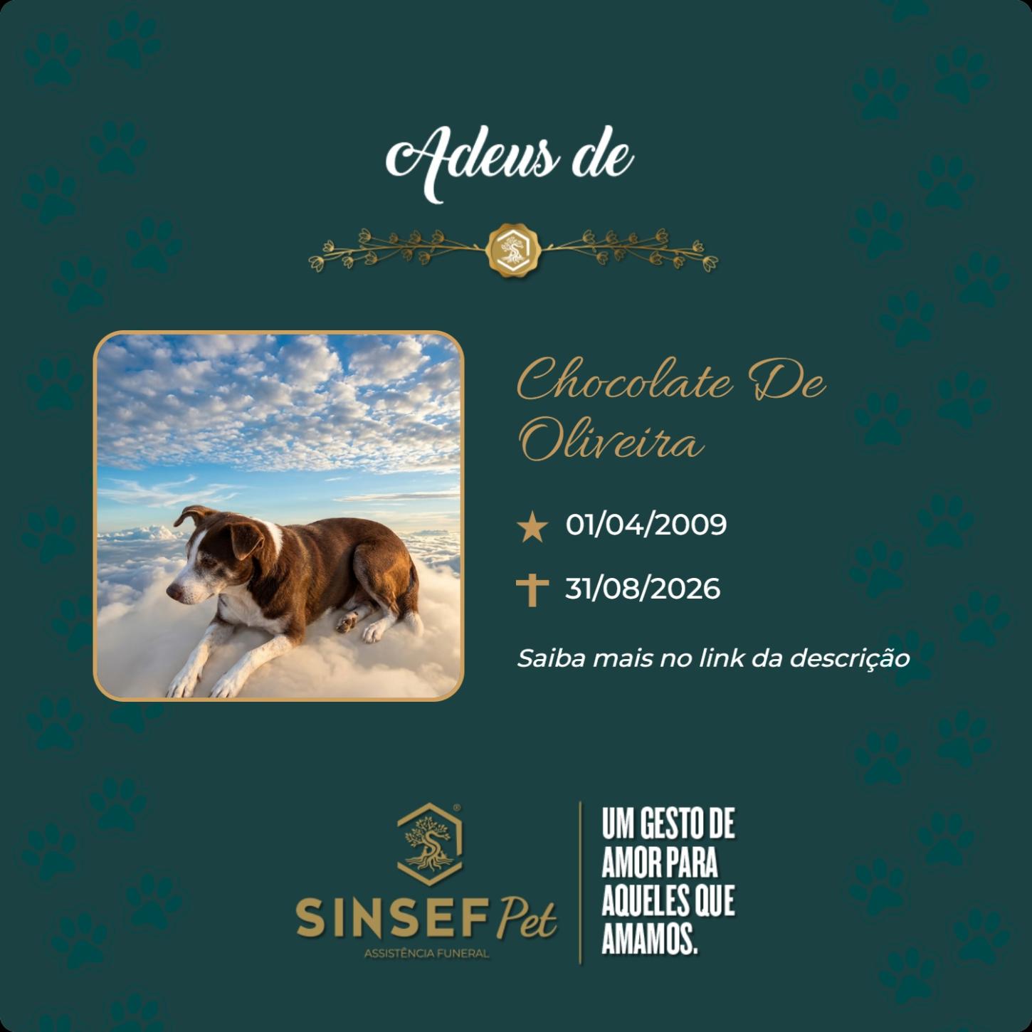 O Grupo Sinsef se despede do Chocolate de Oliveira