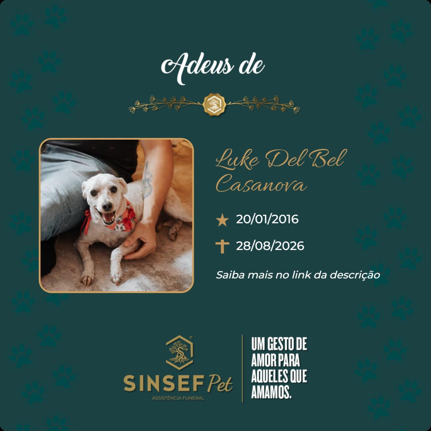 O Grupo Sinsef se despede do Luke Del Bel Casanova