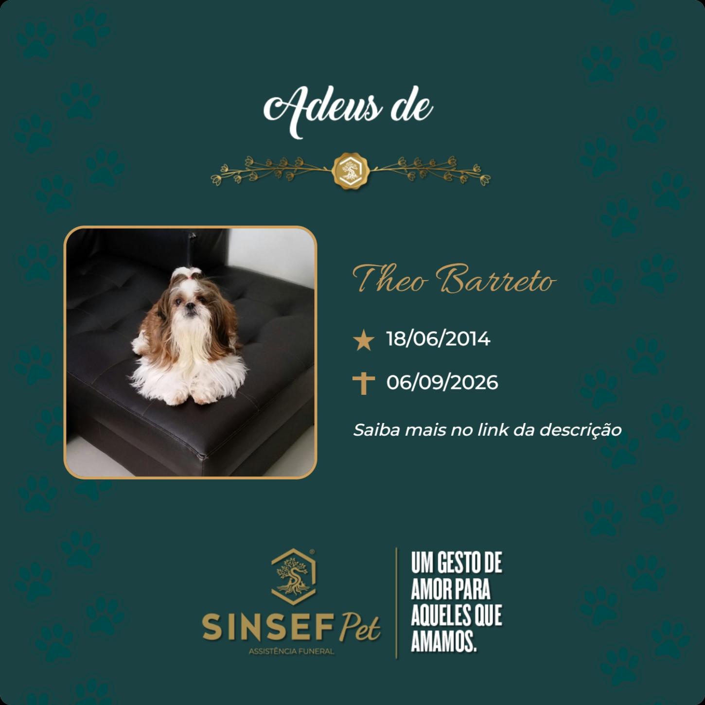 O Grupo Sinsef se despede do Theo Barreto